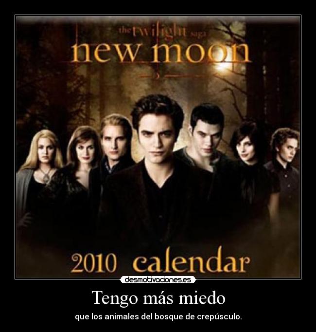 Tengo más miedo - que los animales del bosque de crepúsculo.