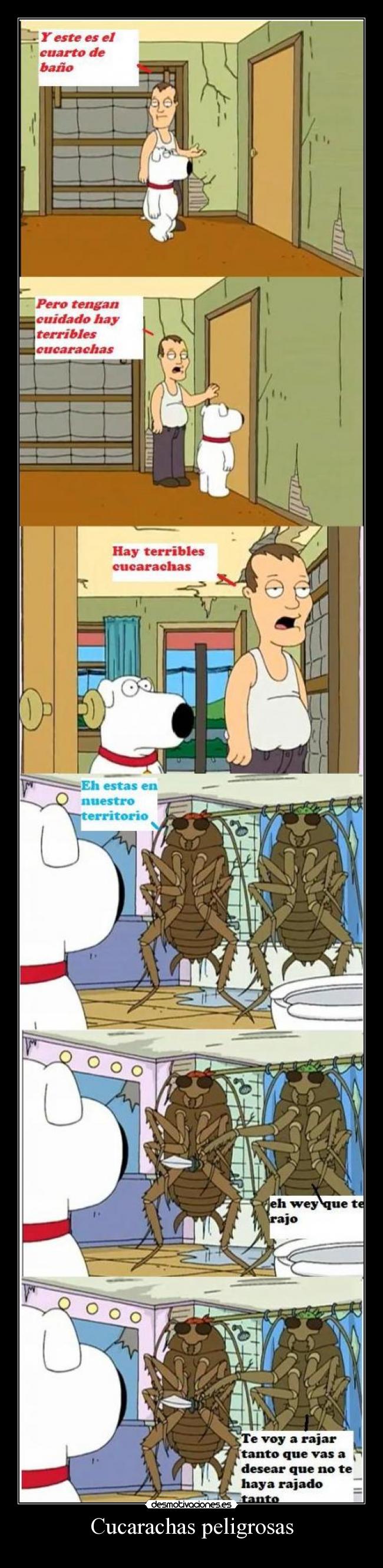 Cucarachas peligrosas - 