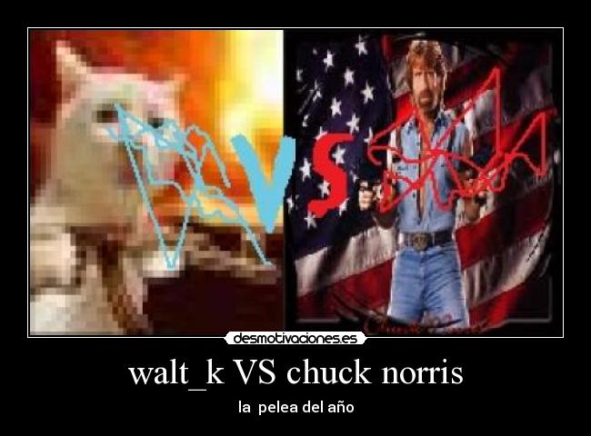 walt_k VS chuck norris - la  pelea del año