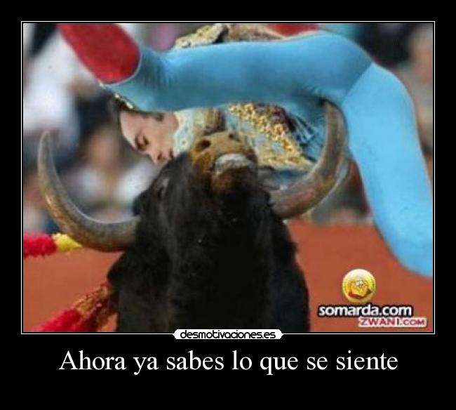 Ahora ya sabes lo que se siente - 