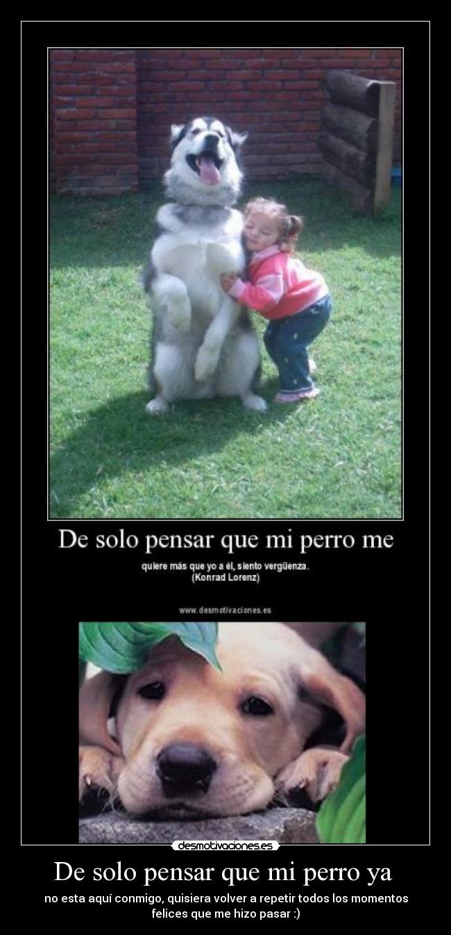 De solo pensar que mi perro ya  - 