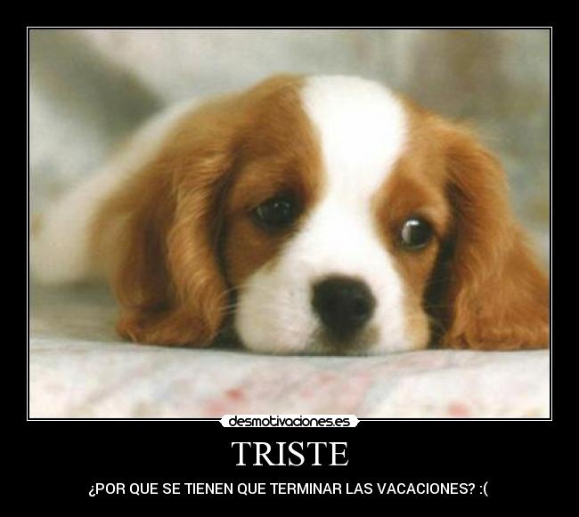 TRISTE - ¿POR QUE SE TIENEN QUE TERMINAR LAS VACACIONES? :( 