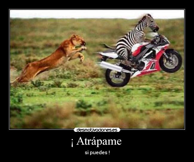 ¡ Atrápame - si puedes !