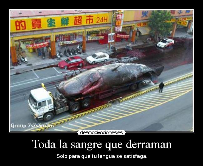 Toda la sangre que derraman -