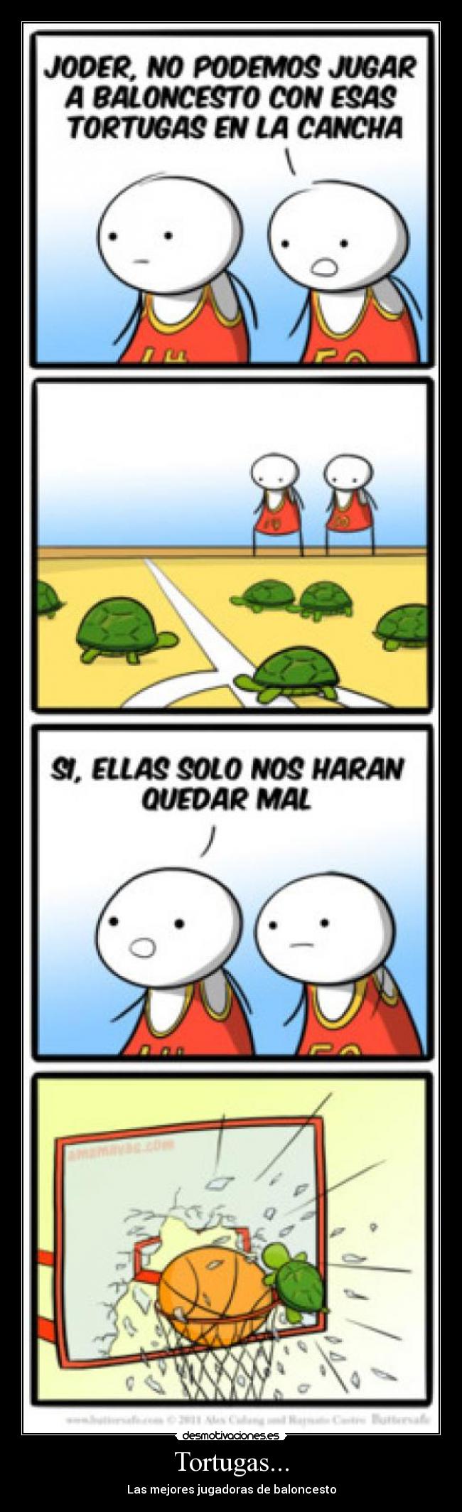 Tortugas... -