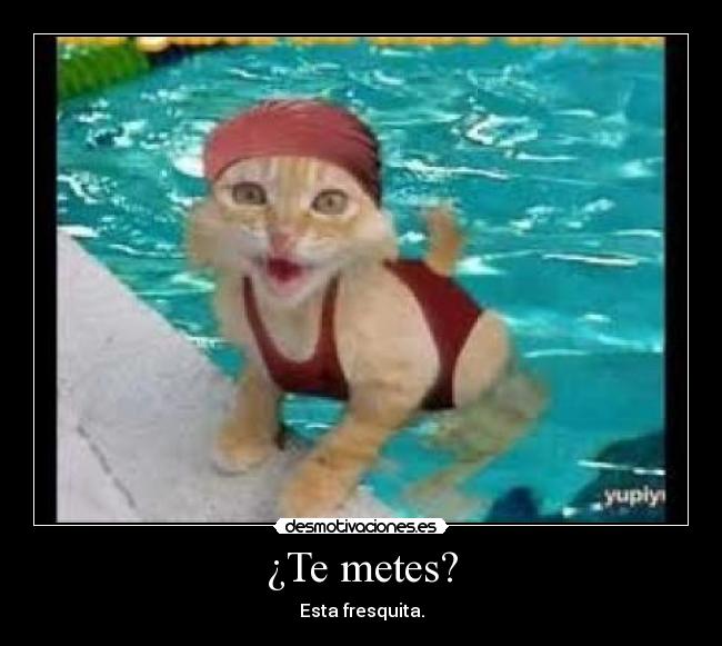 ¿Te metes? - Esta fresquita.