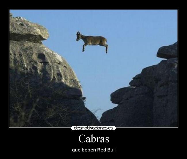 Cabras - 