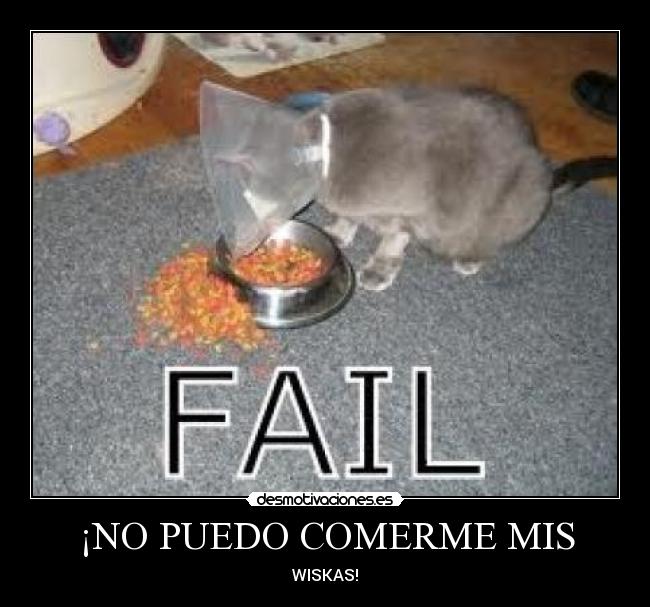 ¡NO PUEDO COMERME MIS - WISKAS!