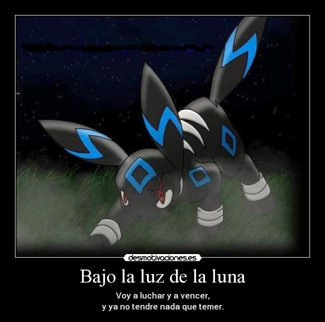 Bajo la luz de la luna - 