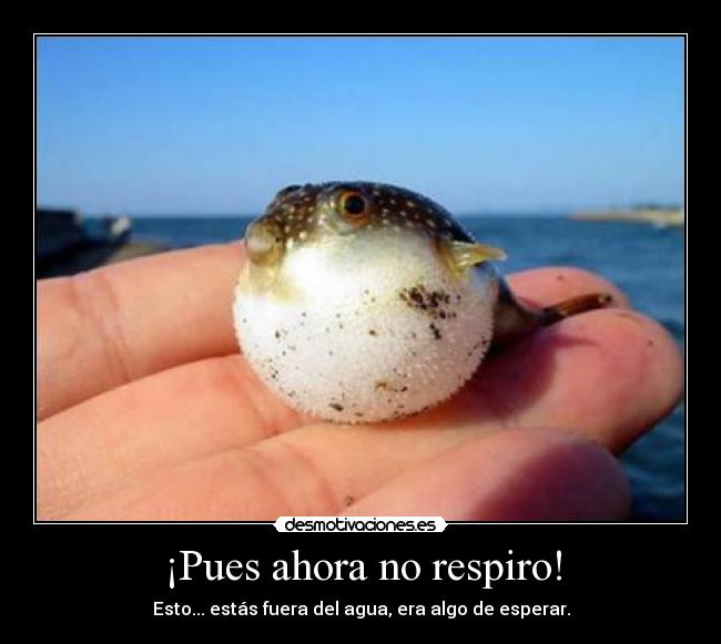 ¡Pues ahora no respiro! -