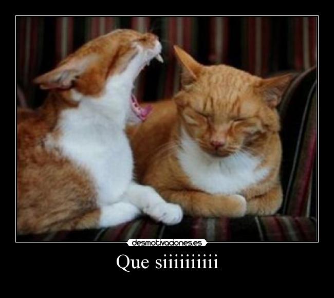 Que siiiiiiiiii -