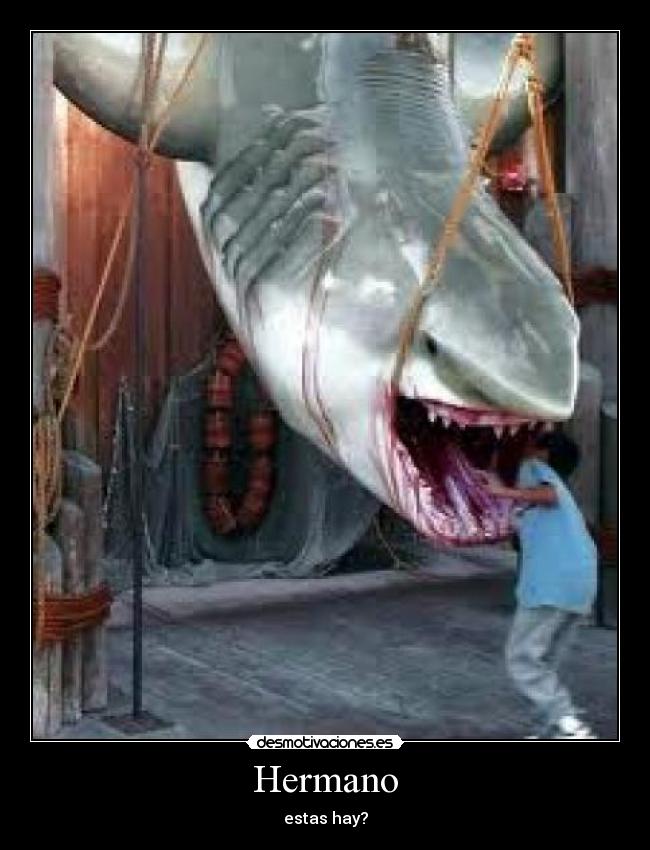 Hermano -