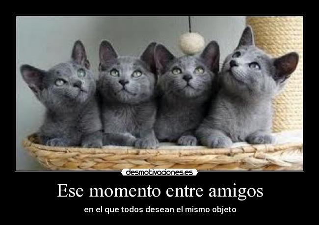 Ese momento entre amigos - 