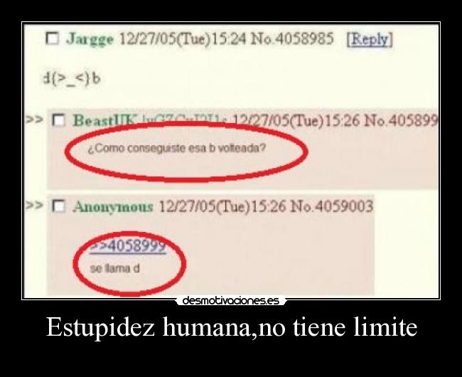 Estupidez humana,no tiene limite - 