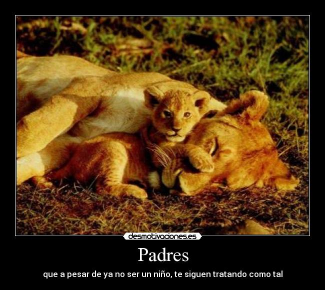 Padres - que a pesar de ya no ser un niño, te siguen tratando como tal