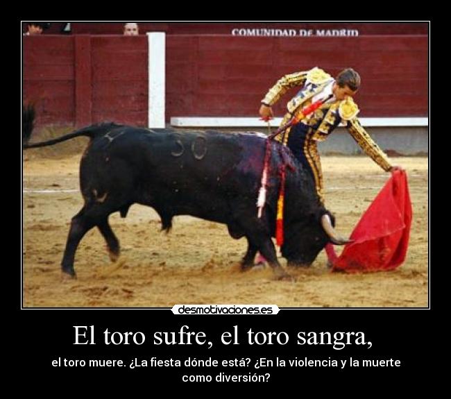 El toro sufre, el toro sangra, - el toro muere. ¿La fiesta dónde está? ¿En la violencia y la muerte como diversión?