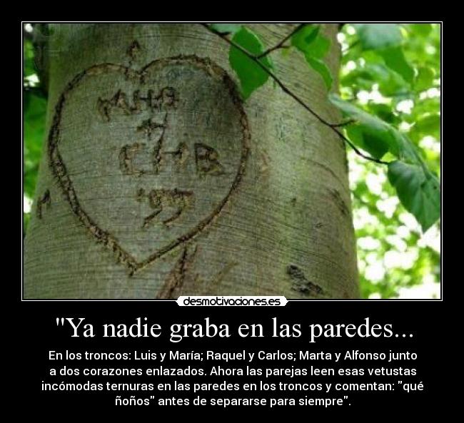 carteles arbol desmotivaciones