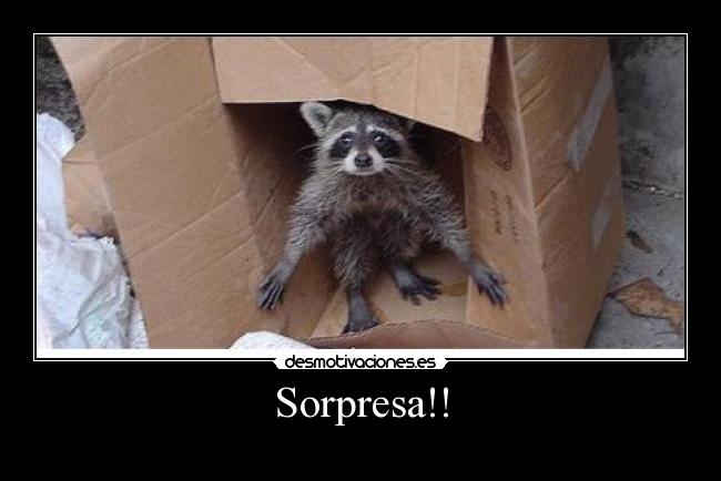 Sorpresa!! -