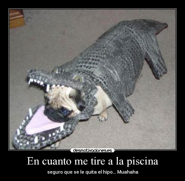 En cuanto me tire a la piscina - seguro que se le quita el hipo... Muahaha