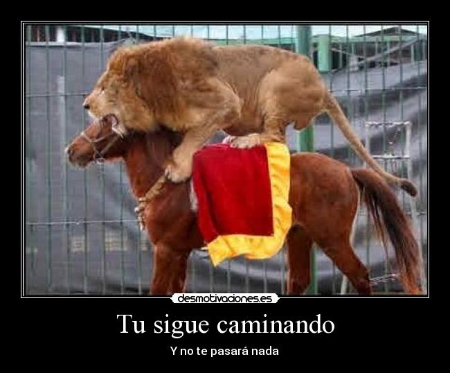 Tu sigue caminando - 