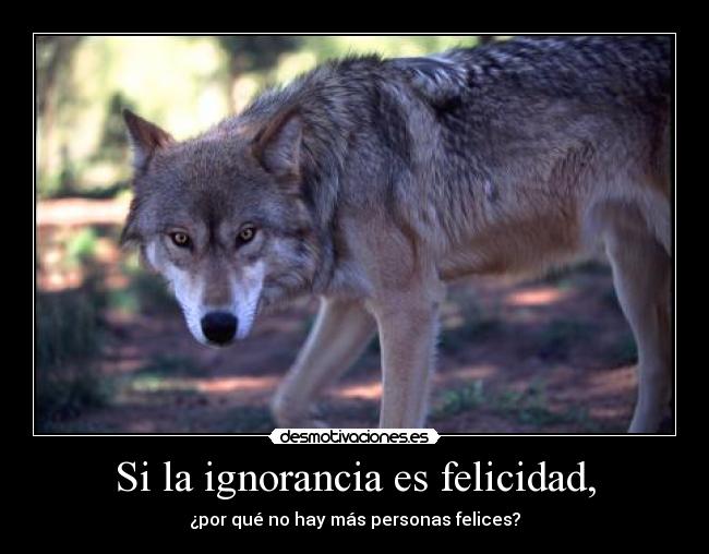 Si la ignorancia es felicidad, - 