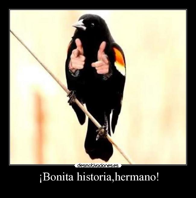 ¡Bonita historia,hermano! -