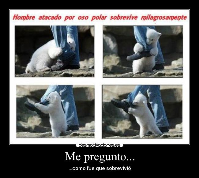 carteles pregunto desmotivaciones