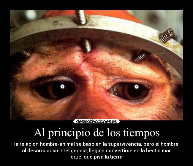 carteles animal-human desmotivaciones