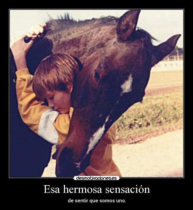 Esa hermosa sensación -