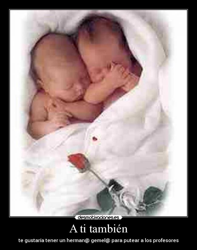 carteles ninos desmotivaciones