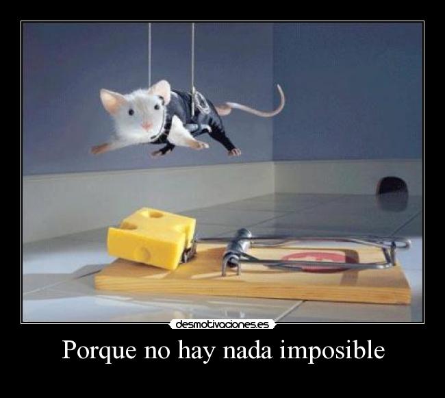 Porque no hay nada imposible - 