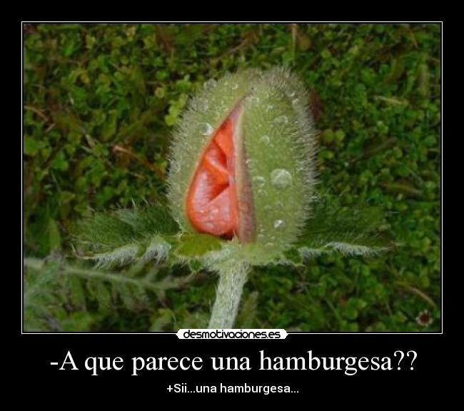 carteles  desmotivaciones