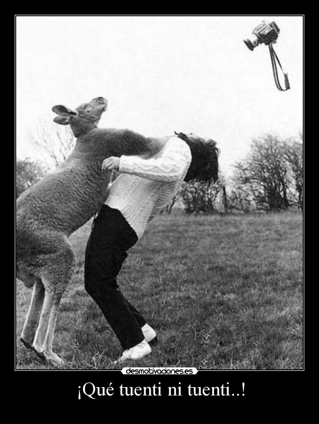 carteles tuenti tuenti tuenti desmotivaciones