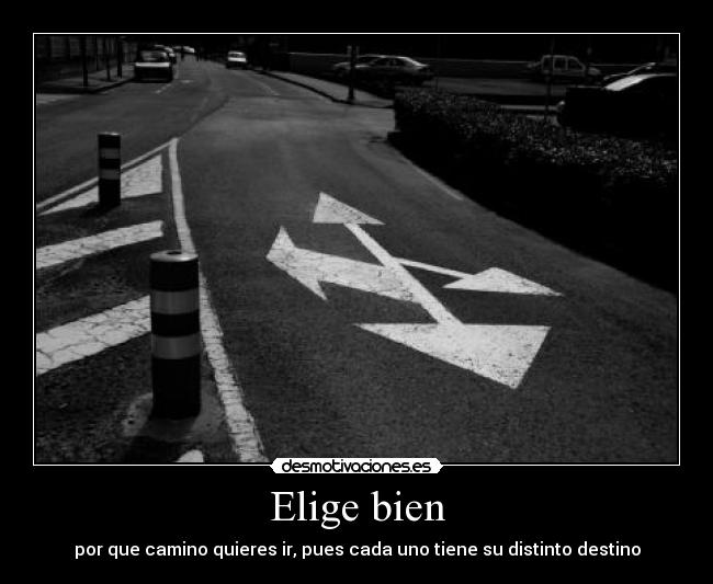 Elige bien -