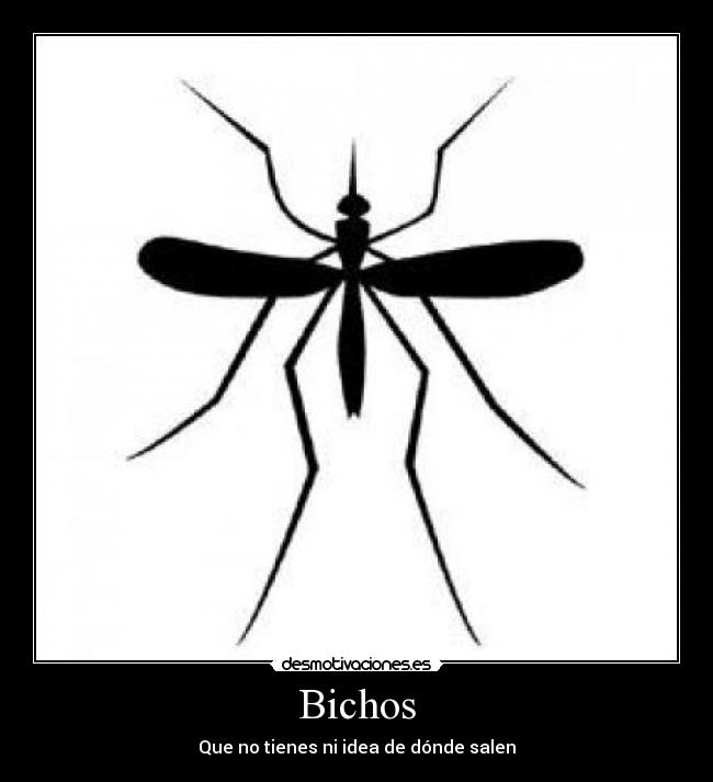 Bichos - Que no tienes ni idea de dónde salen
