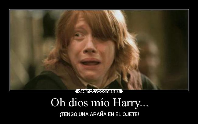 Oh dios mío Harry... - ¡TENGO UNA ARAÑA EN EL OJETE!