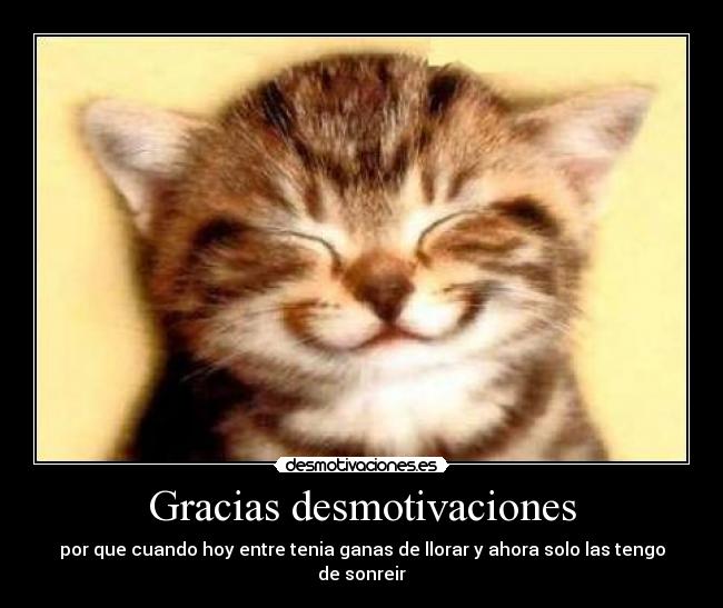 Gracias desmotivaciones - 