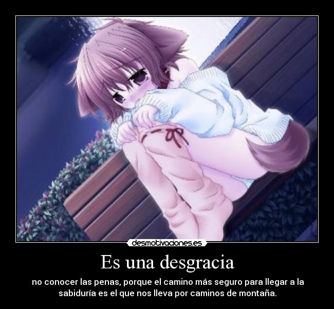 Es una desgracia - no conocer las penas, porque el camino más seguro para llegar a la
sabiduría es el que nos lleva por caminos de montaña.