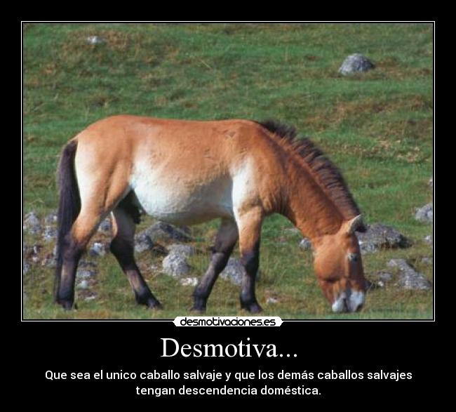 Desmotiva... - Que sea el unico caballo salvaje y que los demás caballos salvajes
tengan descendencia doméstica.