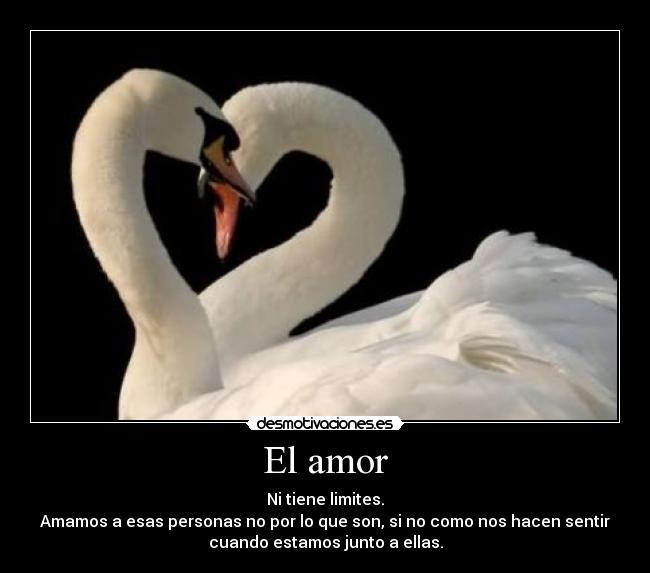 El amor - 