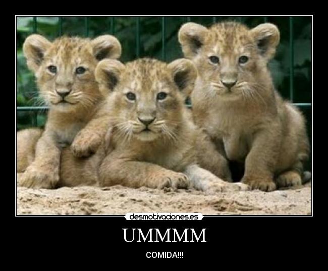 carteles thomas desmotivaciones