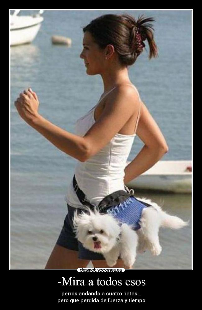 -Mira a todos esos - perros andando a cuatro patas...
pero que perdida de fuerza y tiempo