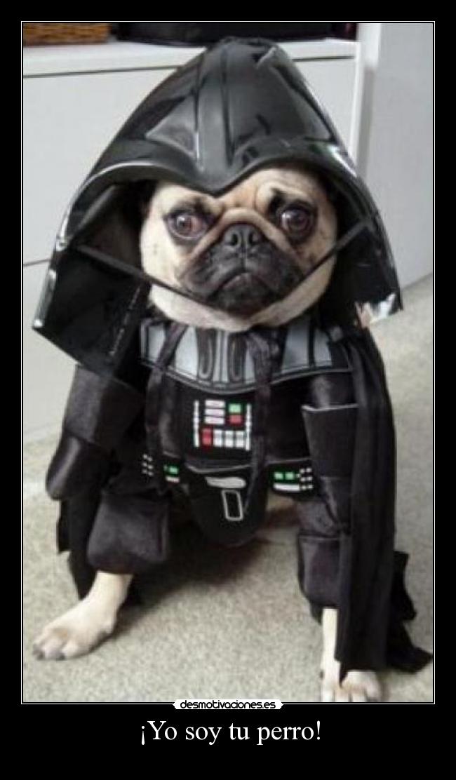 ¡Yo soy tu perro! -