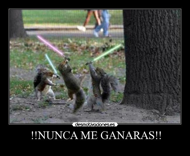 carteles ardillas star wars sable laser lol wtf desmotivaciones