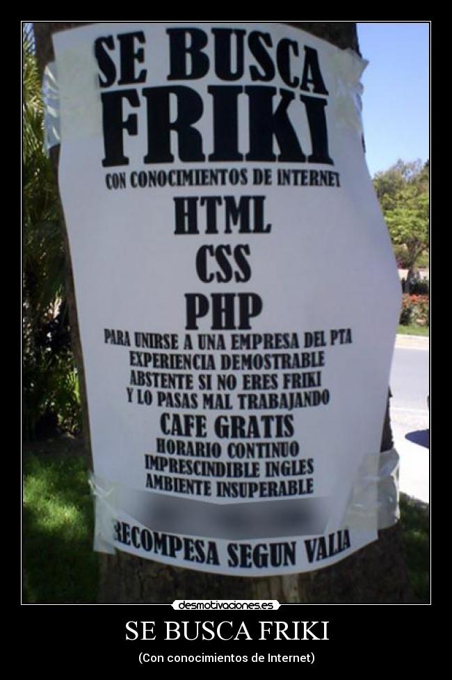 SE BUSCA FRIKI - (Con conocimientos de Internet)