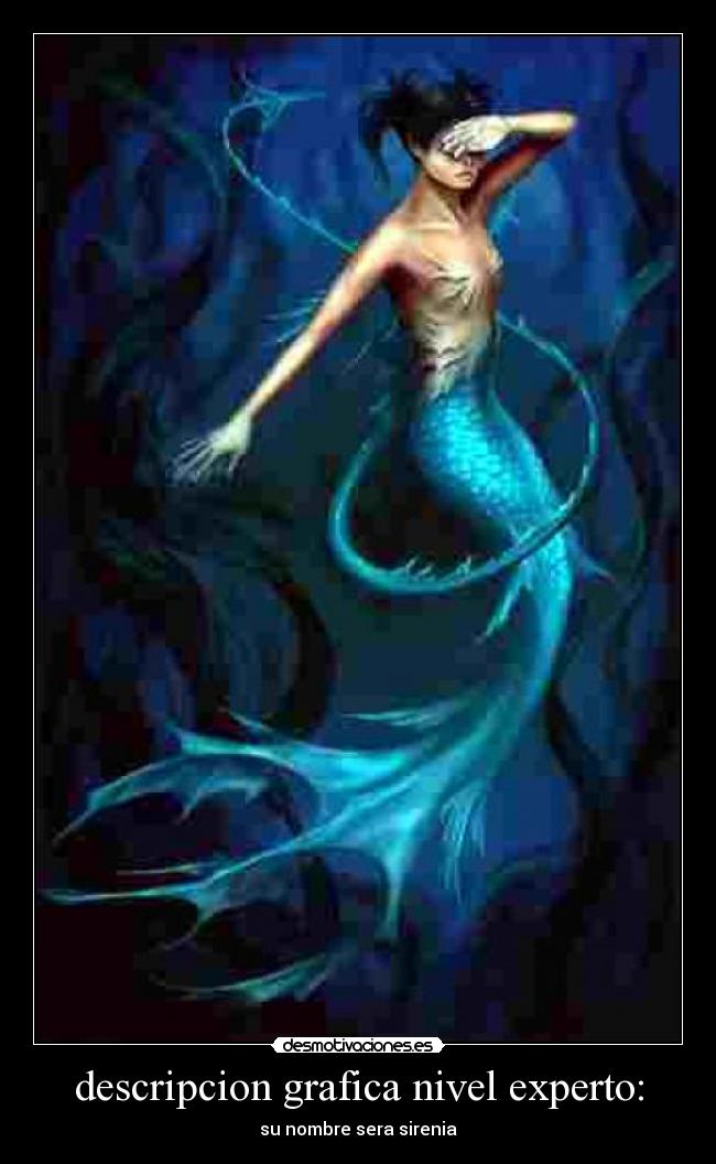 descripcion grafica nivel experto: - 