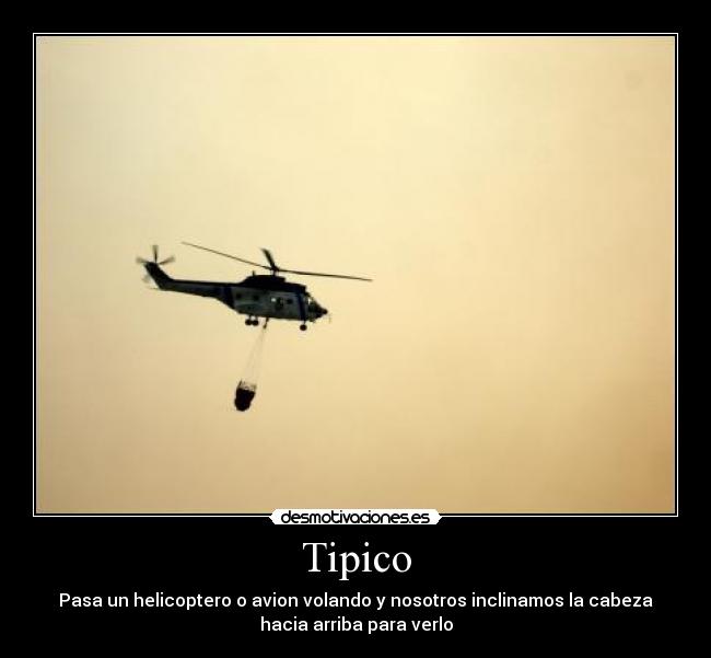 Tipico -