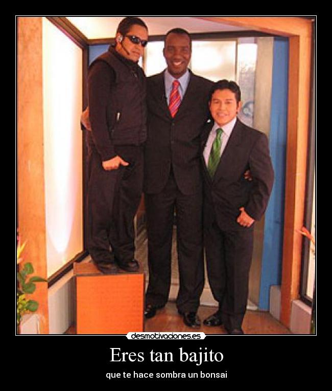 Eres tan bajito - que te hace sombra un bonsai