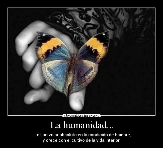 carteles valor absoluto condicion hombre crece con cultivo vida interior humanid desmotivaciones