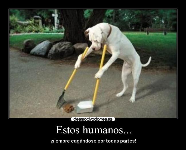 Estos humanos... - ¡siempre cagándose por todas partes!